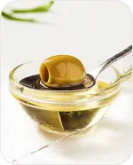Olive Natural Extract from European olive treest